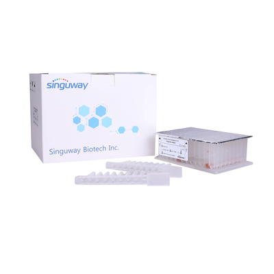 กรดนิวคลีอิก Viral DNA Purification ชุด แม่เหล็ก ลูกปัดs RNA Purification ชุด Singuway