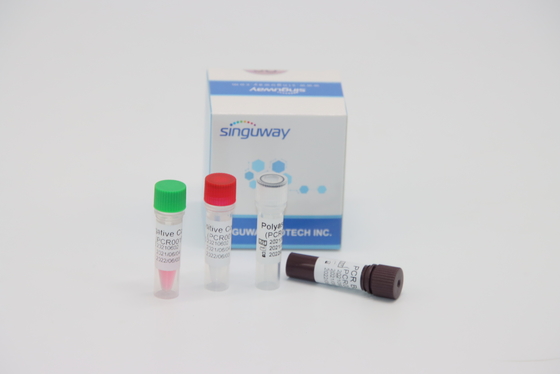 ชุดตรวจวินิจฉัยระดับโมเลกุลเชิงปริมาณ RT PCR แบบเรียลไทม์สำหรับไวรัส HPV Tox