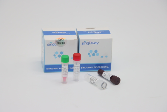 เร็ว RT PCR Test ชุด ฟลูออเรสเซนต์เชิงปริมาณสำหรับการทดสอบไวรัส HFMD