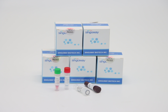 ชุดทดสอบ RT PCR ไวรัสธาลัสซีเมียที่เร็วมากโดยใช้ TB PCR ชุด