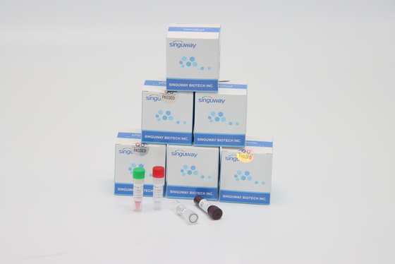 ISO9001 เร็ว Helicobacter Pylori Virus RT PCR ชุดทดสอบความแม่นยำสูง