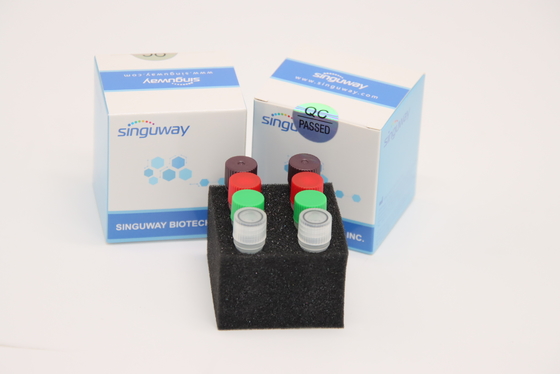 ชุดทดสอบ HCV RT PCR แบบเรียลไทม์เรืองแสง HSV2 ชุดทดสอบในห้องปฏิบัติการใช้CE