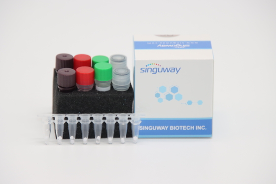IVD Quantitative Rapid RT PCR ชุด สำหรับโรคไข้หวัดนก A Virus H7N9 Virus
