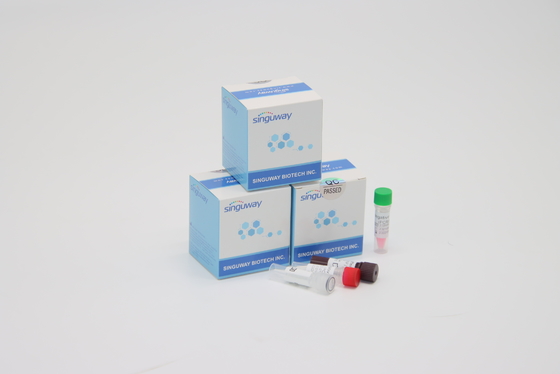 Rapid RSV Virus ชุดทดสอบ RT PCR ทันที POCT IVD Clinical Diagnosis ความแม่นยำสูง