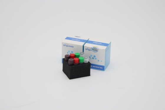 ความไวสูง 6 ช่องมัลติเพล็กซ์แบบเรียลไทม์ Pcr ชุด สำหรับการทดสอบการกลายพันธุ์ของ โควิด 19