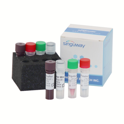 ชุดตรวจหากรดนิวคลีอิกแบบเรียลไทม์ ชุด PCR ไข้หวัดใหญ่ 48 96 การทดสอบ / กล่อง