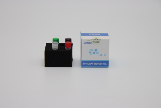 การทดสอบอย่างรวดเร็ว FluA FluB ทันที RT PCR ชุดทดสอบ ชุดทดสอบกรดนิวคลีอิก Singuway