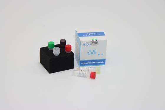 ชุดตรวจ DNA PCR ไวรัสพิษสุนัขบ้าเร็วมากจำเป็นสำหรับ PCR