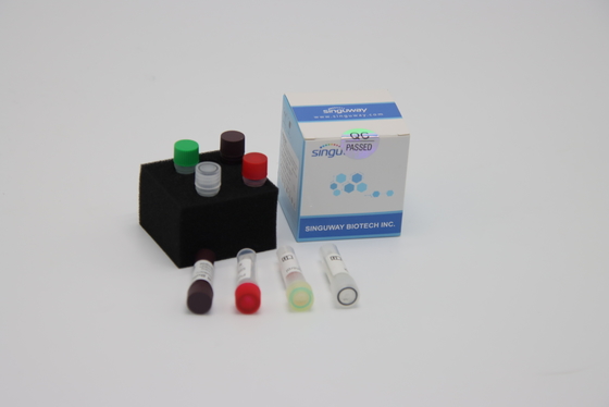 ชุดทดสอบ RT PCR ไวรัสไข้หวัดนก 48 96 การทดสอบ จมูก ไม้กวาด Test ชุด