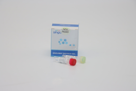 การทดสอบกรดนิวคลีอิก Dengue RT PCR ชุด จมูก ไม้กวาด เรืองแสง RT PCR ชุด