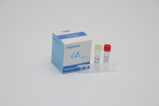 การวินิจฉัยทางคลินิก IVD เรียลไทม์ PCR รีเอเจนต์ Fluorescence Probing One Step PCR ชุด