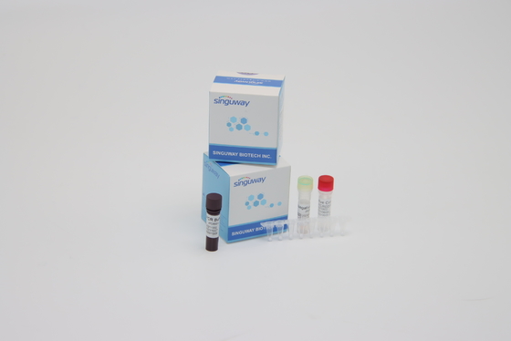 ชุด PCR เรียลไทม์มัลติเพล็กซ์ Super Sensitive ไวรัสโคโรน่า น้ำยาตรวจหากรดนิวคลีอิก