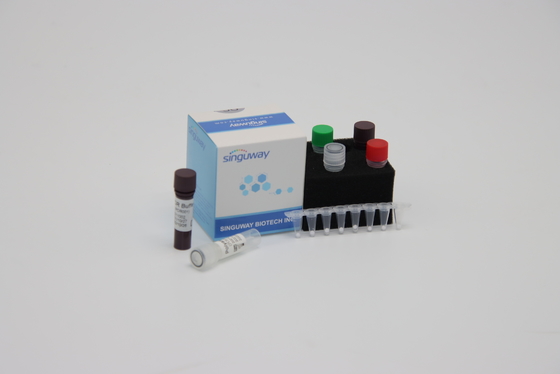 ชุดตรวจวิเคราะห์ระดับโมเลกุล PCR เชิงปริมาณรีเอเจนต์ ISO13485 ภายใน 30 นาที