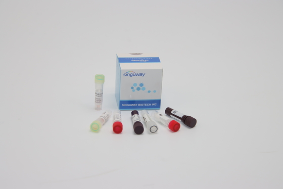 ORF1ab HPV PCR การตรวจจับ ชุด การทดสอบทางพันธุกรรมของกรดนิวคลีอิกสำหรับการวินิจฉัยทางคลินิก
