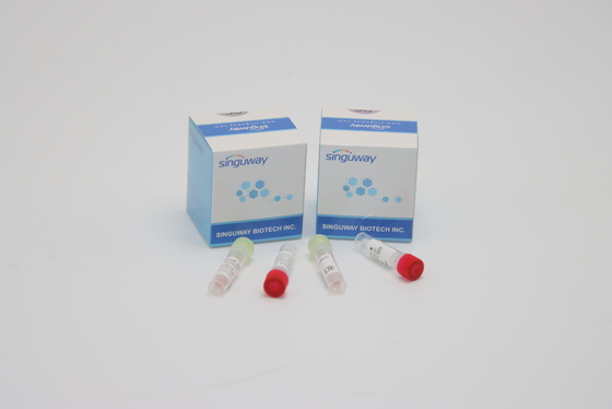 CE PCR ไม้กวาด Test ชุด ชุดทดสอบไวรัสตับอักเสบบีและซี การวินิจฉัยทางคลินิก