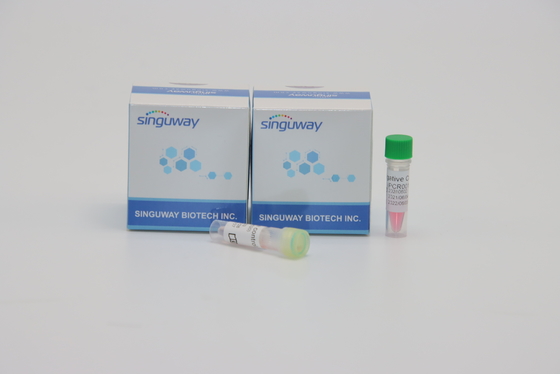 ชุดตรวจจับ PCR ไวรัส Singuway HSV II ฟลูออเรสเซนต์เชิงปริมาณสำหรับการทดสอบทางพันธุกรรม