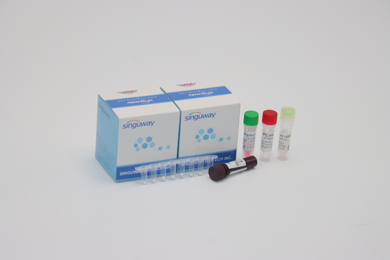 ชุดตรวจวินิจฉัยโรคระบบทางเดินหายใจ Syncytial Viral RT PCR RSV PCR ชุดตรวจหา จมูก ไม้กวาด