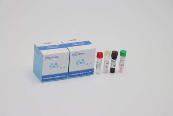 Alpha Beta Delta Gamma การกลายพันธุ์s หนึ่งขั้นตอน QPCR ชุด Oral ไม้กวาด สำหรับการใช้งานในห้องปฏิบัติการ