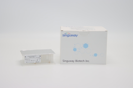 คู่มือ 9-18 นาทีชุดสกัดกรดนิวคลีอิกสำหรับ DNA RNA Virus Purify