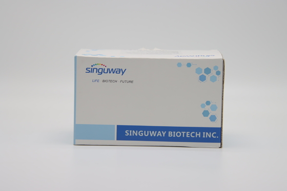 ไวรัล RNA Purification ชุดs ไวรัลไวรัล แม่เหล็ก ลูกปัด High Pure Viral นิวคลีอิก กรด ชุด