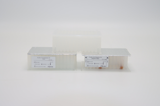 ชุดแยก RNA สำหรับไวรัสนิวคลีอิกกรดบริสุทธิ์สูง 96 ตัวอย่าง ISO13485