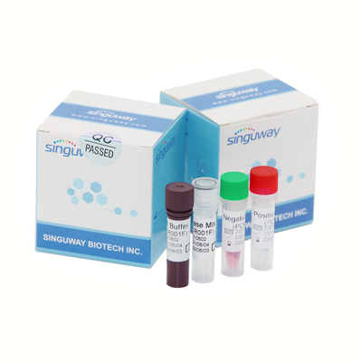 จมูก ไม้กวาด โควิด Omicron การกลายพันธุ์ PCR การตรวจจับ ชุด การทดสอบการวินิจฉัยระดับโมเลกุล