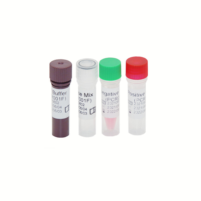 ชุดทดสอบ HBV HCV HIV-1 Genome RT PCR ความไวสูง 30 IU/ML