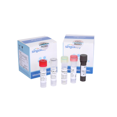 ชุดทดสอบ RT PCR ที่มีความไวสูงพิเศษที่มีความไวสูง ชุดตรวจจับ เรืองแสง โพรบ RT PCR