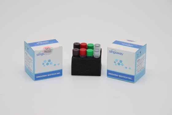 H1N1 Rabies Virus RT PCR ชุดทดสอบ Collection IVD Super Sensitive สำหรับโรงพยาบาล