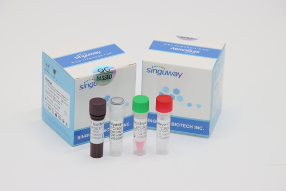 Mycobacterium Tuberculosis Virus RT PCR ชุดตรวจวินิจฉัย จมูก ไม้กวาด ภายใน 30 นาที