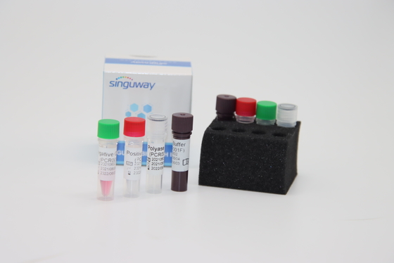Boca Virus HBoV RT PCR ชุดทดสอบ ไม้กวาด ISO9001 ชุดทดสอบ PCR เรืองแสงเชิงปริมาณ