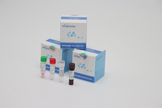 ชุดทดสอบ Lab Reagent RT PCR ความเสถียรสูงสำหรับการตรวจจับ Varicella Zoster Virus VZV