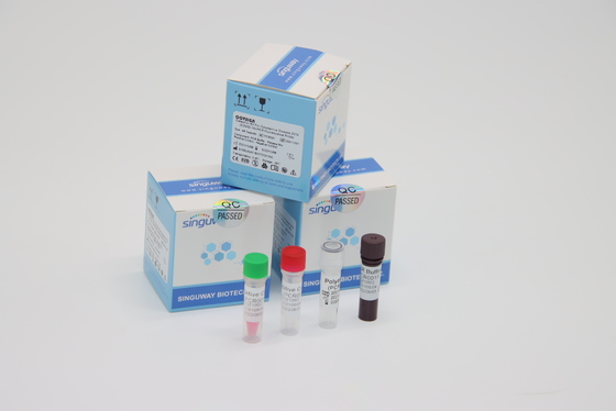 แล็บโดยใช้ RT PCR ชุดทดสอบ โควิด ชุดตัวอย่าง Clinical LP Virus PCR Media Dual ไม้กวาด