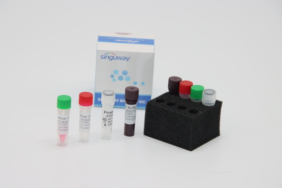 Oral ไม้กวาด ความแม่นยำสูง RT PCR Collection ชุด IVD Lab Reagent สำหรับการทดสอบไวรัส ADV