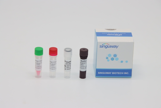 ชุดทดสอบไวรัส CMV RT PCR การทดสอบกรดนิวคลีอิกแบบเรียลไทม์ ISO13485