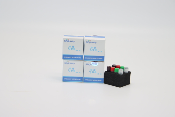 ชุดทดสอบ PCR HIV ทันที POCT IVD Clinical Diagnosis เรียลไทม์ PCR การตรวจจับ ชุด
