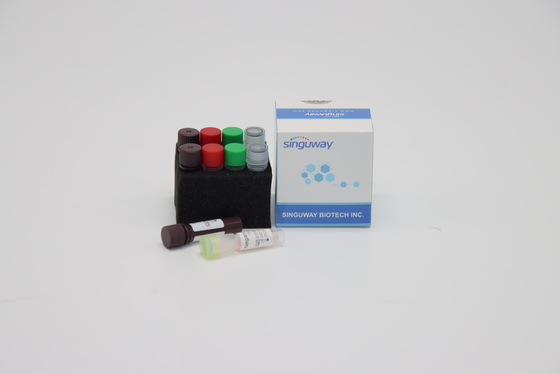 CE One Step เรียลไทม์ PCR ชุด HSV ชุดทดสอบอย่างรวดเร็วสำหรับไวรัสตับอักเสบบี
