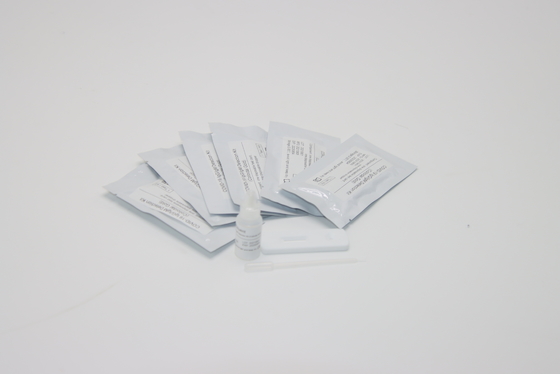 การตรวจจับเชิงคุณภาพ Rapid Antibody Test ชุด Super Sensitive ที่บ้าน ISO9001