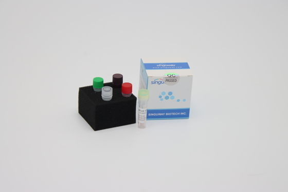 HBV HCV เรียลไทม์ PCR ชุดตรวจจับ PCR Amplification ชุด 20uL Reaction Volume