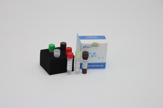 ห้องปฏิบัติการ Multiplex เร็ว เรียลไทม์ RT PCR ชุดตรวจหารีเอเจนต์สำหรับการตรวจหาไวรัสซาร์ส