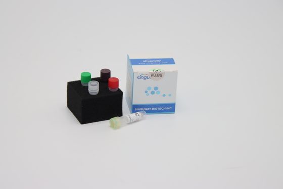HIFi Polymerase DNA Reverse Transcription PCR ชุด RT PCR รีเอเจนต์ Singuway