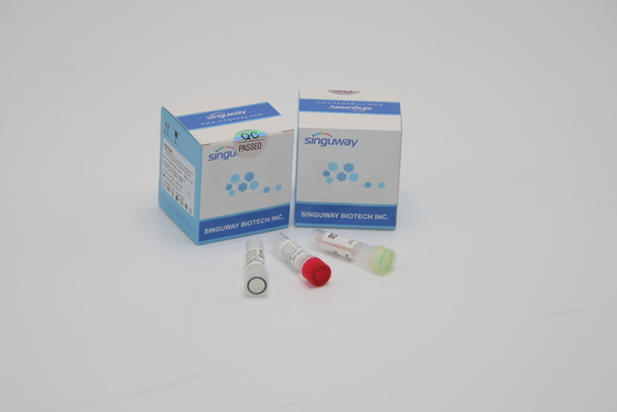 H3N2 ชุดตรวจ PCR ธาลัสซีเมีย 48 96 ทดสอบความแม่นยำสูง