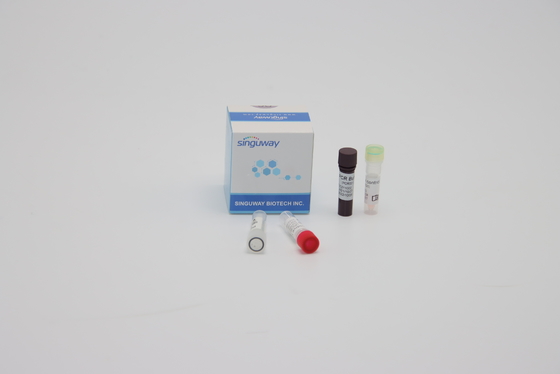ปากตัวอย่างตัวอย่างเชิงปริมาณมัลติเพล็กซ์ PCR รีเอเจนต์ปฏิกิริยา ISO13485