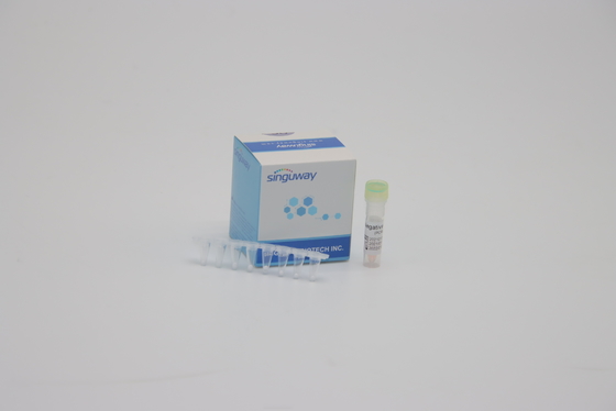 การทดสอบ DNA FluA FluB PCR ชุดตรวจจับ 1 ขั้นตอน RT PCR ชุด สำหรับแล็บที่ใช้