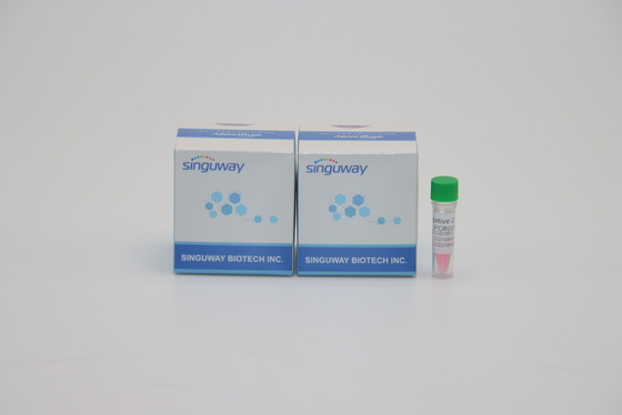 รีเอเจนต์สำหรับห้องปฏิบัติการ RT PCR ชุด อย่างรวดเร็วด้วยความแม่นยำสูงสำหรับ Helicobacter Pylori HP