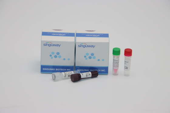 ชุดตรวจจับ PCR Fluorescence Probing ตัวอย่าง จมูก ไม้กวาด สำหรับการทดสอบ ADV Adenovirus