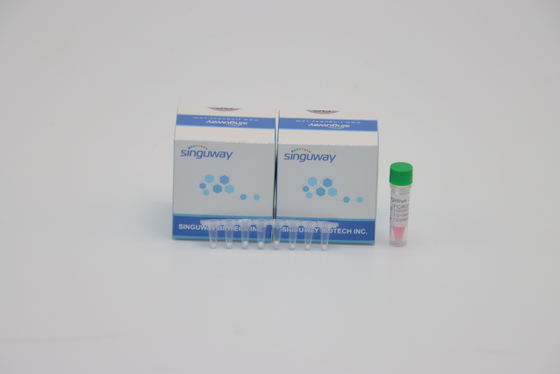 Lab POCT IVD Mycobacterium Tuberculosis TB PCR ชุดตรวจจับ DNA Testing ISO9001