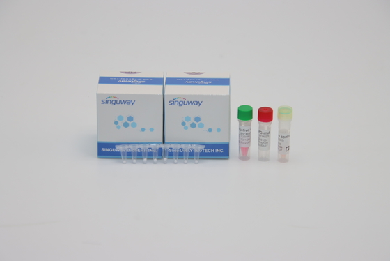 Flu A Flu B One Step เรียลไทม์ PCR ชุด ความไวสูง 96 การทดสอบ HIV PCR Test ชุด