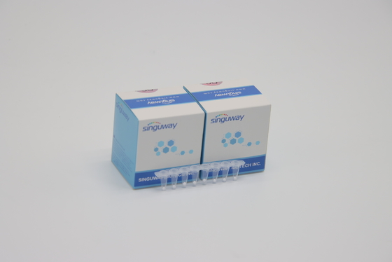 ชุด PCR แบบเรียลไทม์ HCV ความเสถียรสูง HBV ชุดทดสอบไวรัสตับอักเสบบีอย่างรวดเร็ว Lab Reagent ISO13485