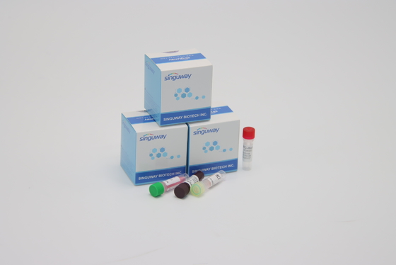 CE ไวรัสโคโรน่า Test เรียลไทม์ PCR Diagnostic ชุดs เร็วมากภายใน 30 นาที